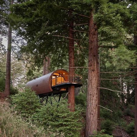 Occidental ~* The Spectacular Spyglass Treehouse *~ מראה חיצוני תמונה